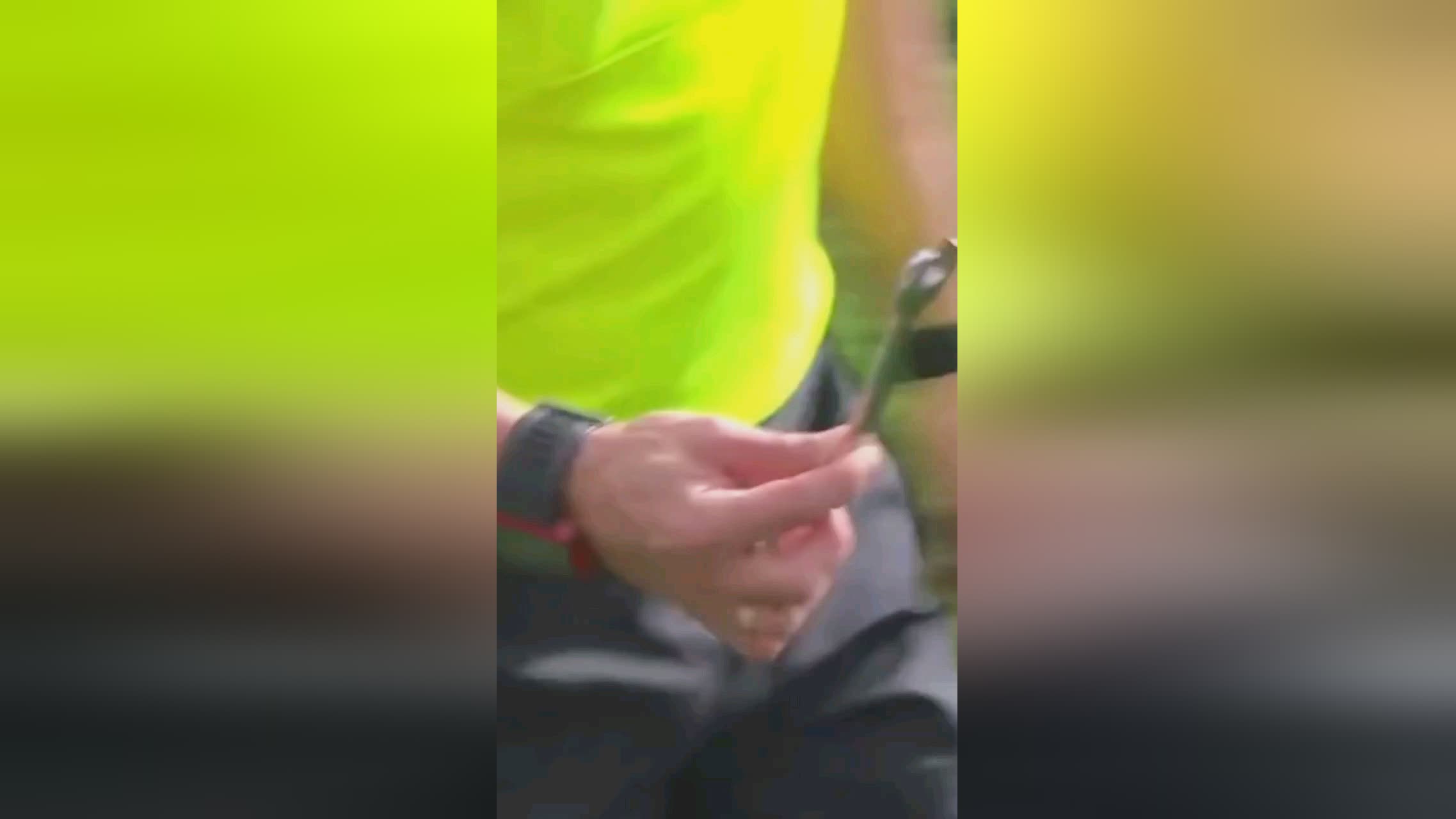 球队
