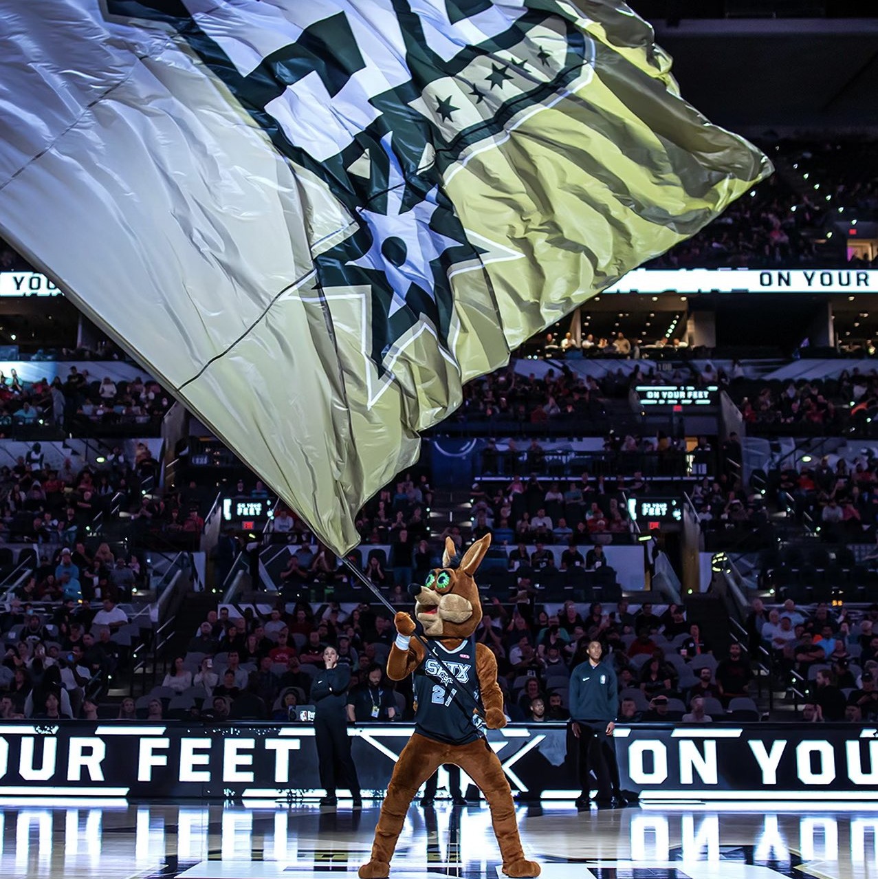 的粉丝感到 的粉丝感到